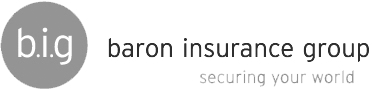Baron Insurance Group Logo - Website Development Project